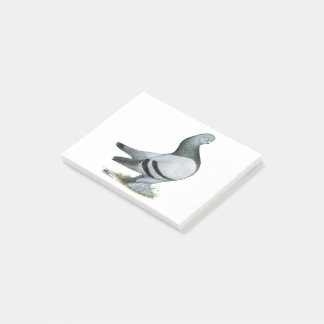 Berliner Tumbler Pigeon Blue Bar Post-it Notes