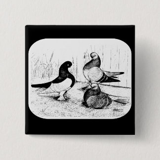 Berliner Tumbler Pigeon Trio 1980 15 Cm Square Badge