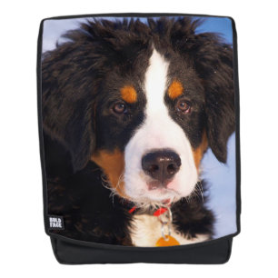 Bermese Mountain Dog Backpack