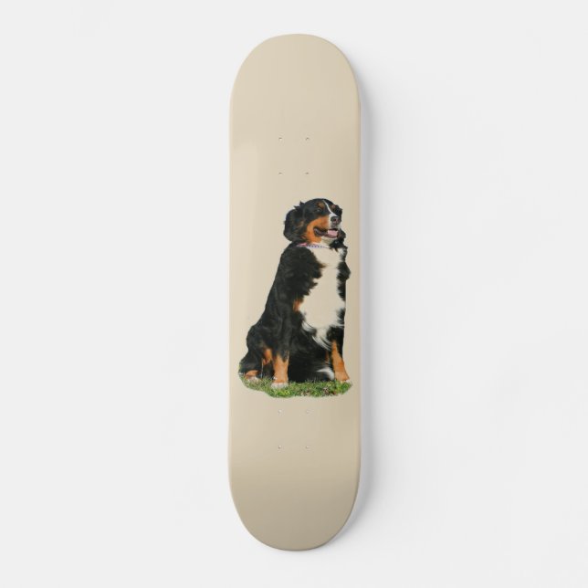 Bermese Mountain dog Skateboard (Front)