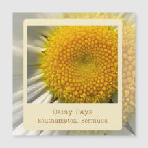 Bermuda Daisy Magnetic Card
