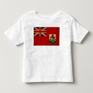 Bermuda Flag Toddler T-Shirt