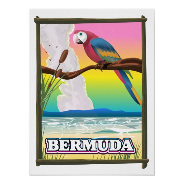 Bermuda Paraside. Poster (Front)