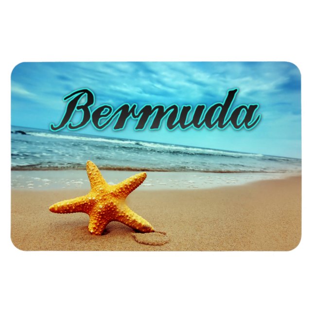 Bermuda starfish magnet (Horizontal)