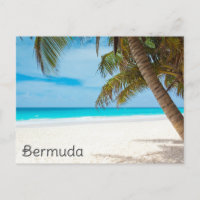 Bermuda Tropical Beach Ocean Palm Tree Travel