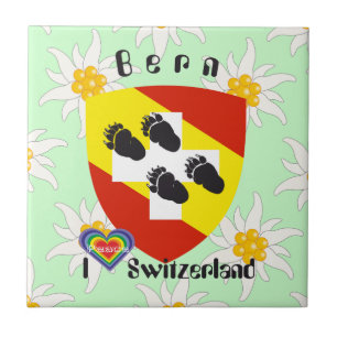Bern Berne Berna Switzerland Suisse Fliese Tile