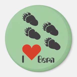 Bern Berne Berna Switzerland Suisse Svizzera Svizr Magnet