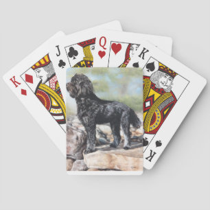 Bernadoodle dog standing on rocks playing cards