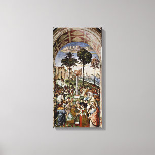 Bernardino di Betto - Eleanor of Portugal Canvas Print