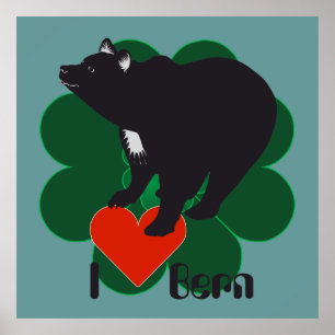 Berne, Berne, Berna, Bärn, Switzerland, Suisse, Poster