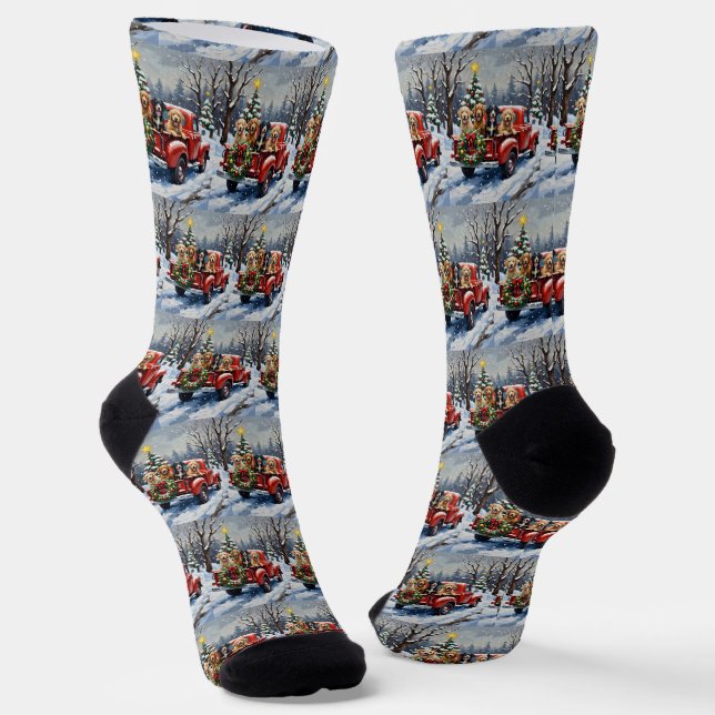 Bernedoodle Christmas Red Truck Holiday Socks (Angled)