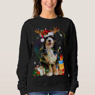 Bernedoodle Christmas Reindeer Santa Lights Dog Xm Sweatshirt