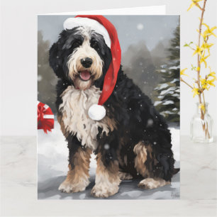 Bernedoodle Dog in Snow Christmas Card