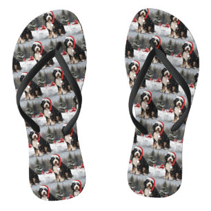 Bernedoodle Dog in Snow Christmas  Jandals