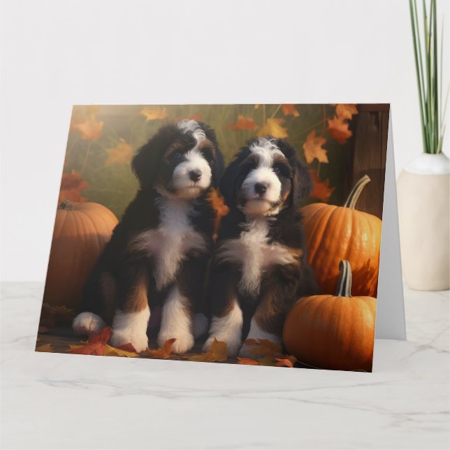 Bernedoodle Puppy Autumn Delight Pumpkin Card (Front)