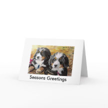 Berner Nation greeting card
