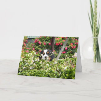 Berner Nation greeting card