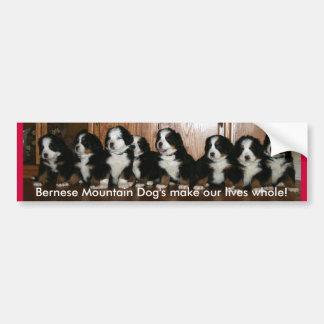 Berner Puppy- BUMPERS.. Bumper Sticker