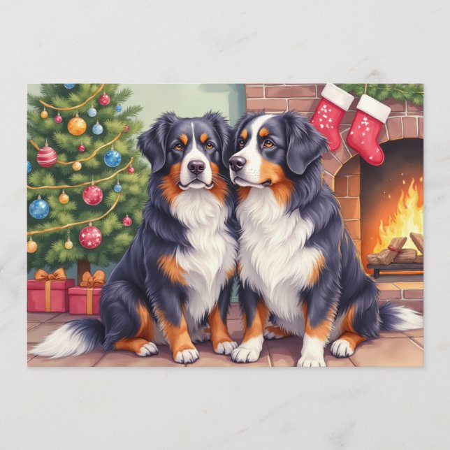 Berner Sennen Christmas Card (Front)
