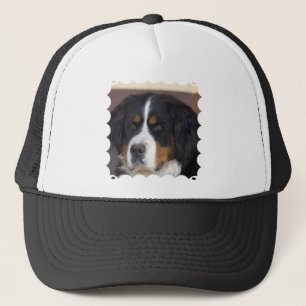 Berner Sennenhund Baseball Hat