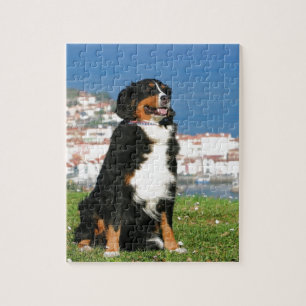 Bernese cattle dog posing at the beach jigsaw puzzle
