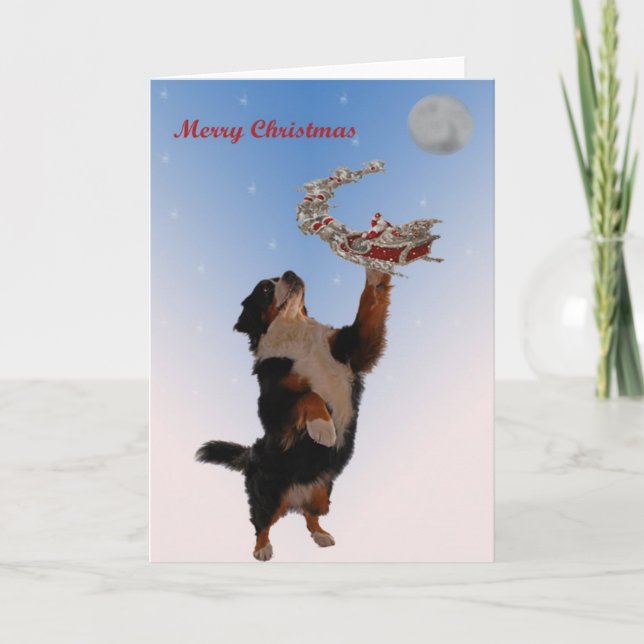 Bernese meeting Christmas Holiday Card (Front)
