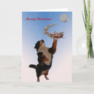 Bernese meeting Christmas Holiday Card
