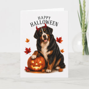 Bernese Mountain Devil Dog Card