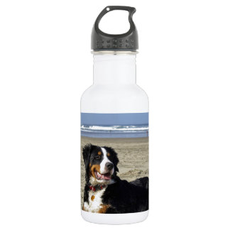 Bernese Mountain Dog 532 Ml Water Bottle