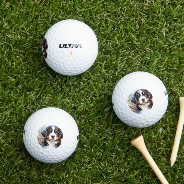 Bernese Mountain Dog AI Puppy  Golf Balls (Insitu Grass)