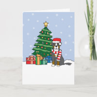 Bernese Mountain Dog and Christmas Tree