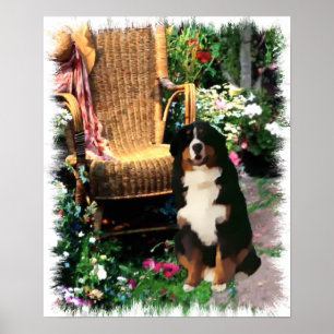 Bernese Mountain Dog Art Print