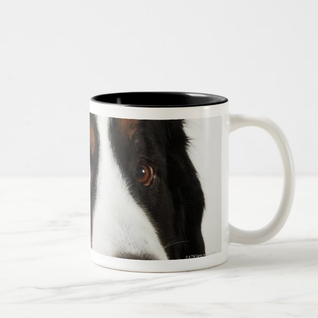 Bernese Mountain Dog (Berner Sennenhund) with Two-Tone Coffee Mug (Right)