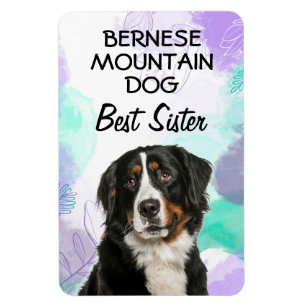 Bernese Mountain Dog Best Sister Magnet