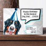 Bernese Mountain Dog Birthday Card<br><div class="desc">A special birthday card for Berner Lovers.</div>