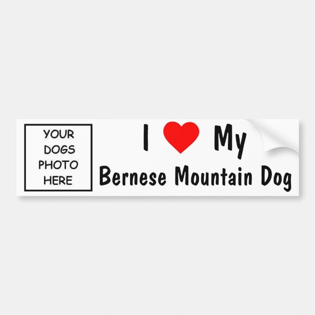 Bernese Mountain Dog Bumper Sticker (Front)
