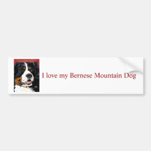 Bernese Mountain Dog bumper sticker