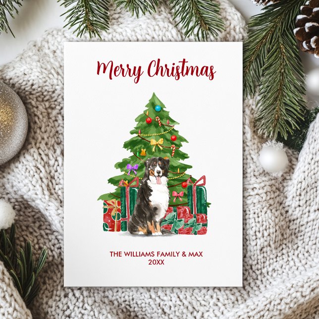 Bernese Mountain Dog Christmas Card (Creator Uploaded)