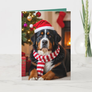 Bernese Mountain Dog Christmas  Card