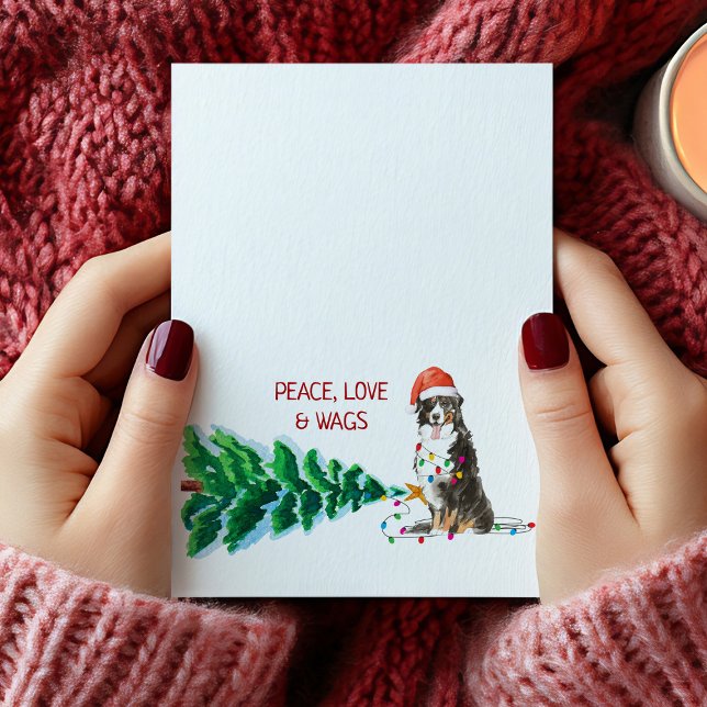Bernese Mountain Dog Christmas Card Tree & Lights (Bernese Mountain Dog Christmas Card Tree & Lights)