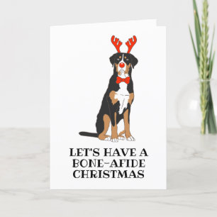 bernese mountain dog christmas cards
