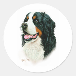 Bernese Mountain Dog Classic Round Sticker