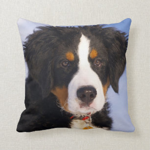Bernese Mountain Dog - Cute Puppy Photo Cushion