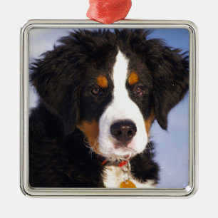 Bernese Mountain Dog - Cute Puppy Photo Metal Tree Decoration