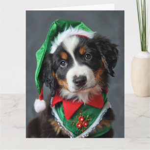 Bernese Mountain Dog Elf Puppy Christmas Card 