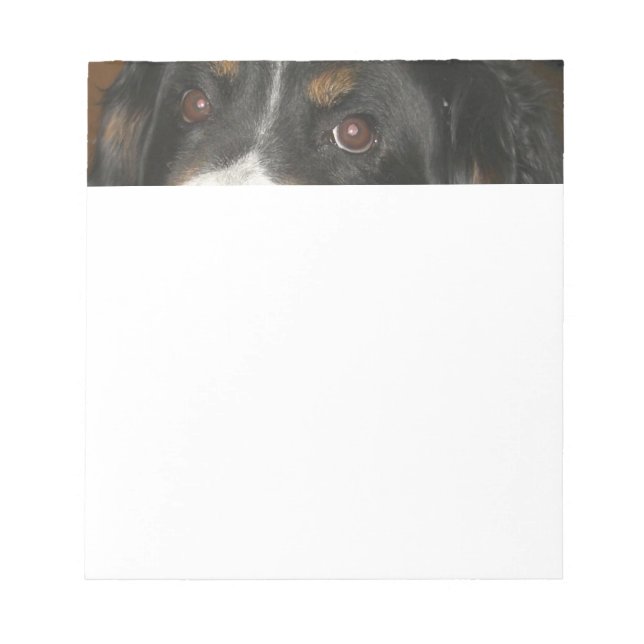 Bernese Mountain Dog Eyes Notepad (Front)
