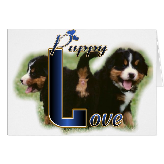 Bernese Mountain Dog Gifts (Front Horizontal)
