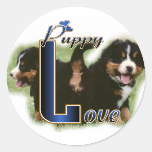 Bernese Mountain Dog Gifts Classic Round Sticker
