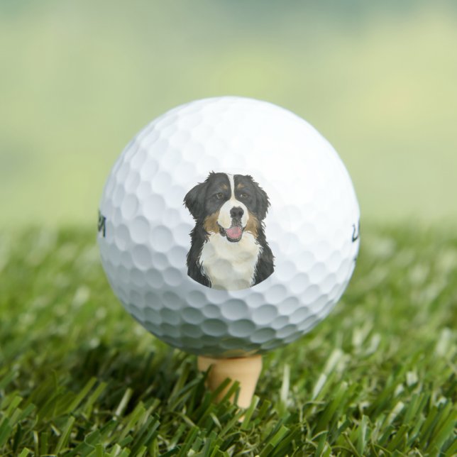 Bernese Mountain Dog Golf Balls (Insitu Tee)