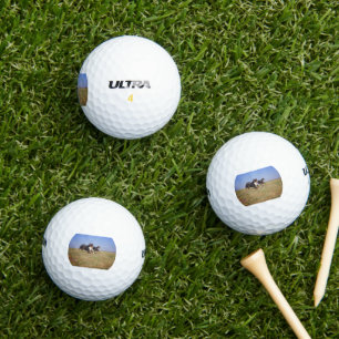 bernese mountain dog group second golf balls